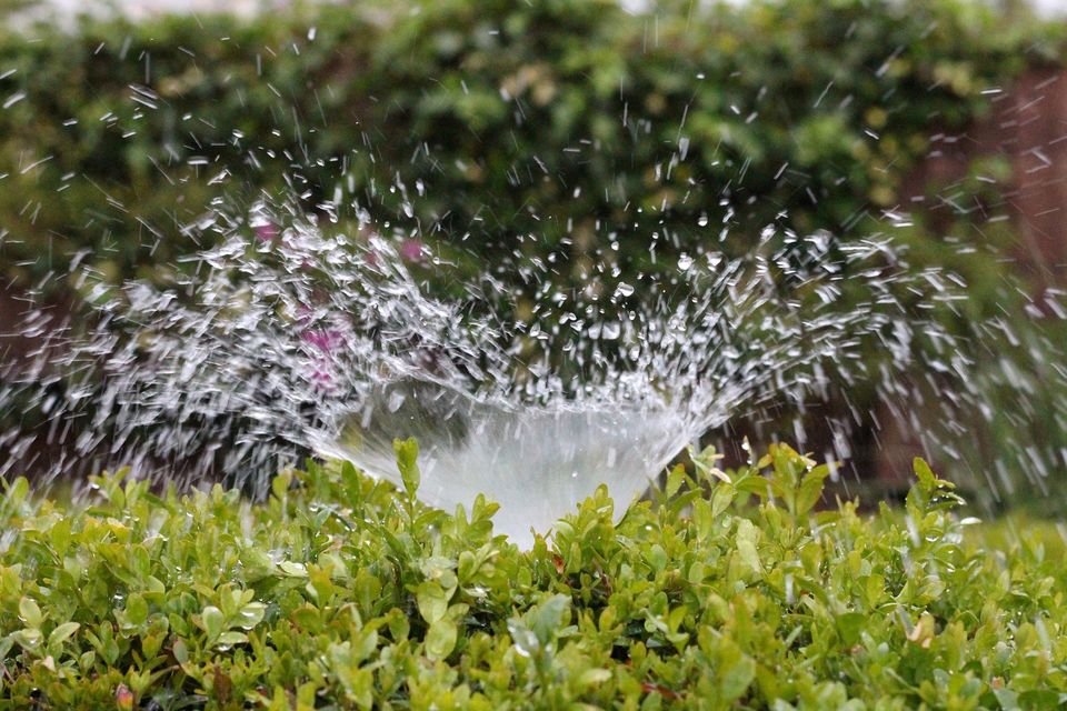 Irrigation Repair
