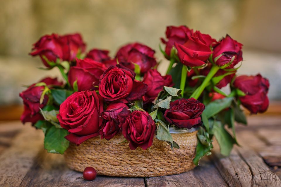 Rose gd547ec814 1920