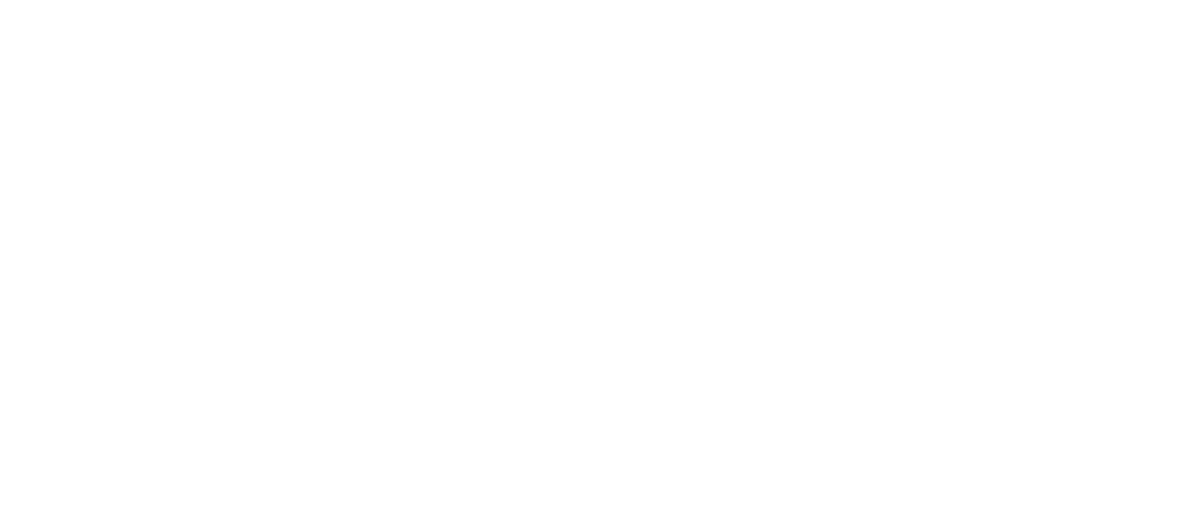 Rancho Viejo Geneseo