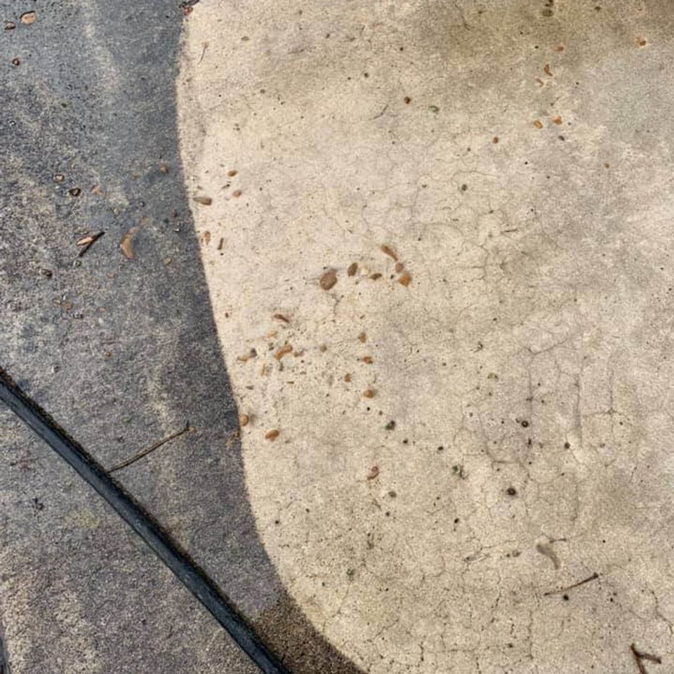 Pressure wash 4