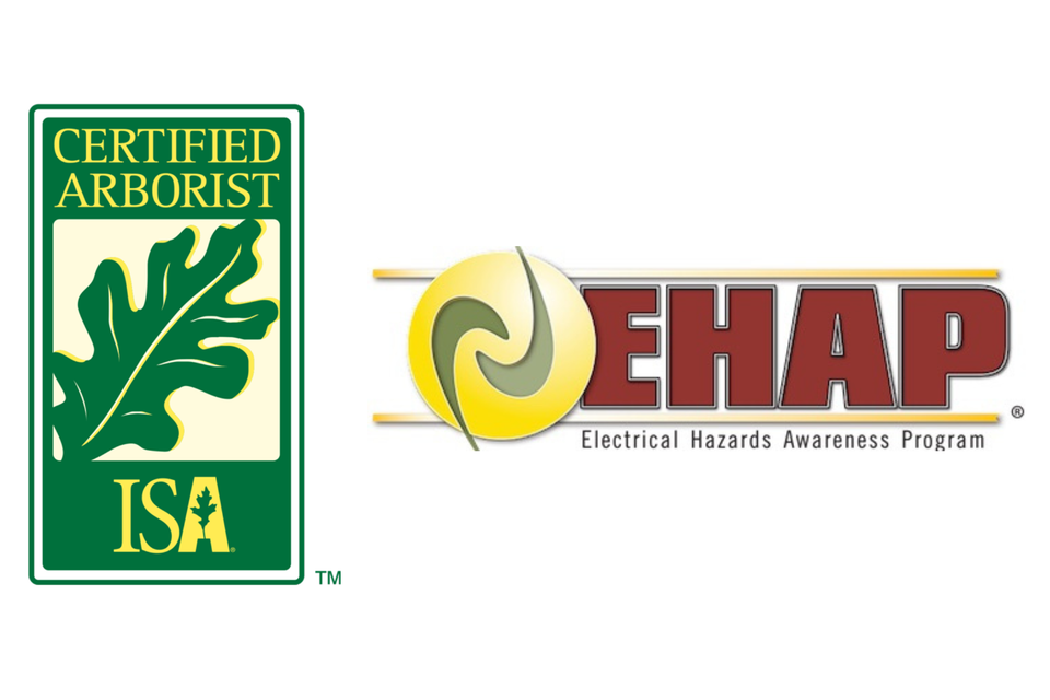Tree trimming tampa certifications