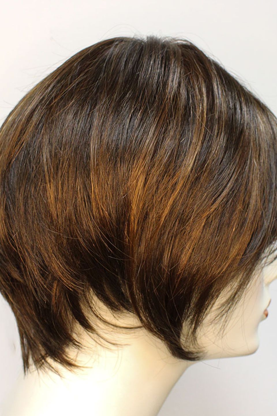 Medium brown pixie bob 2