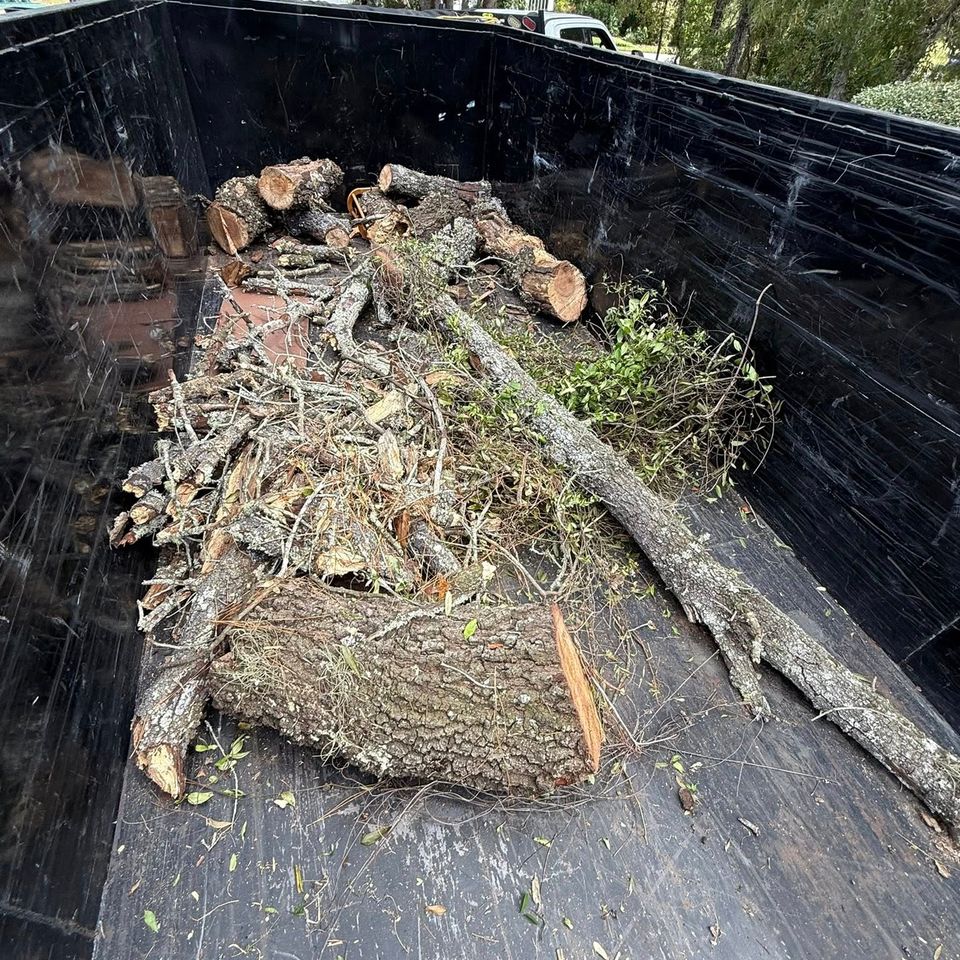 Tree branches in the back of the JNJ Hauling Solutions truck ready for removal
