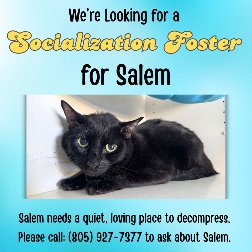 We’re looking for a