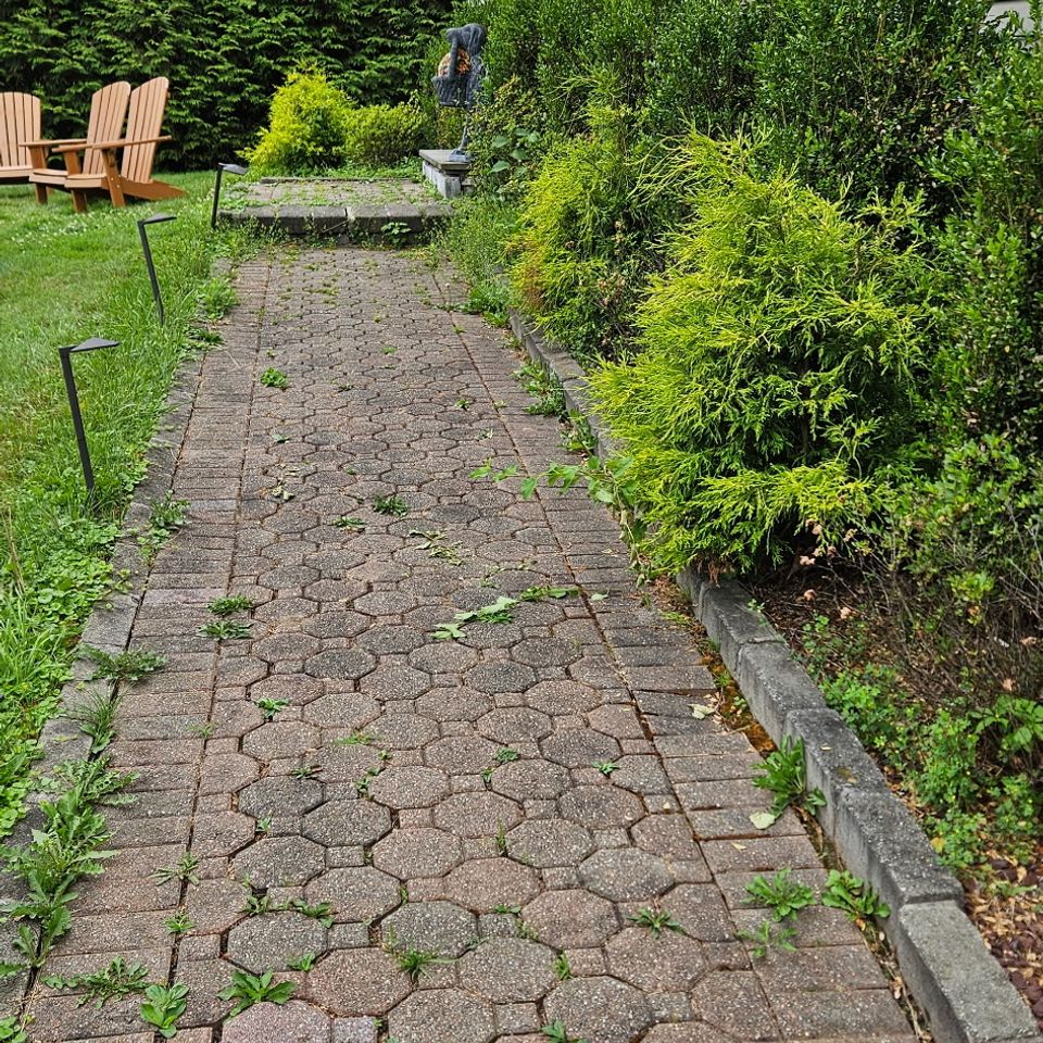 Before walkway diaz landscaping