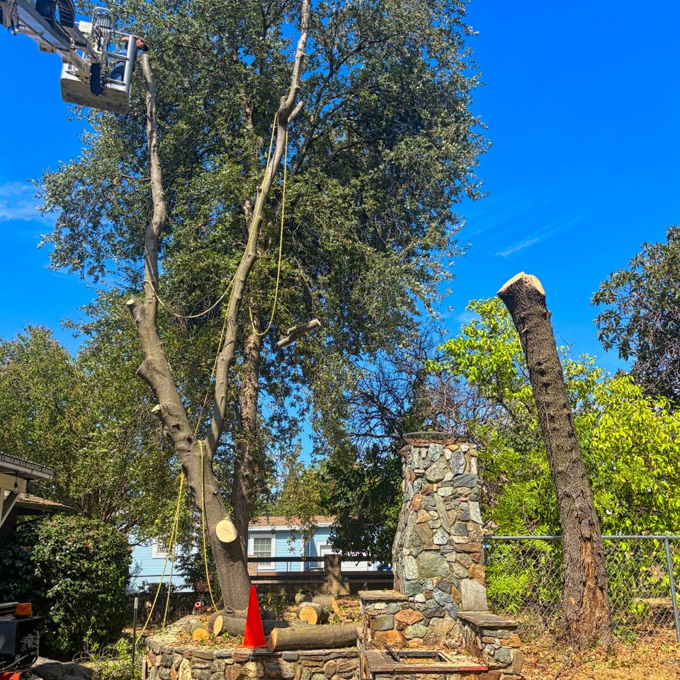 Emergency tree service in Auburn, CA, featuring a Lyons Tree Service technician using an aerial lift to safely remove storm-damaged branches hanging over a residential roof
