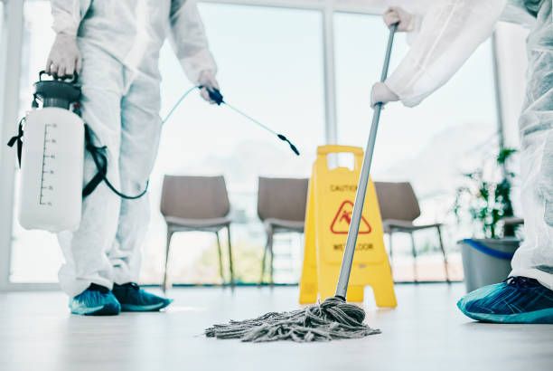Istockphoto 1215985861 612x612