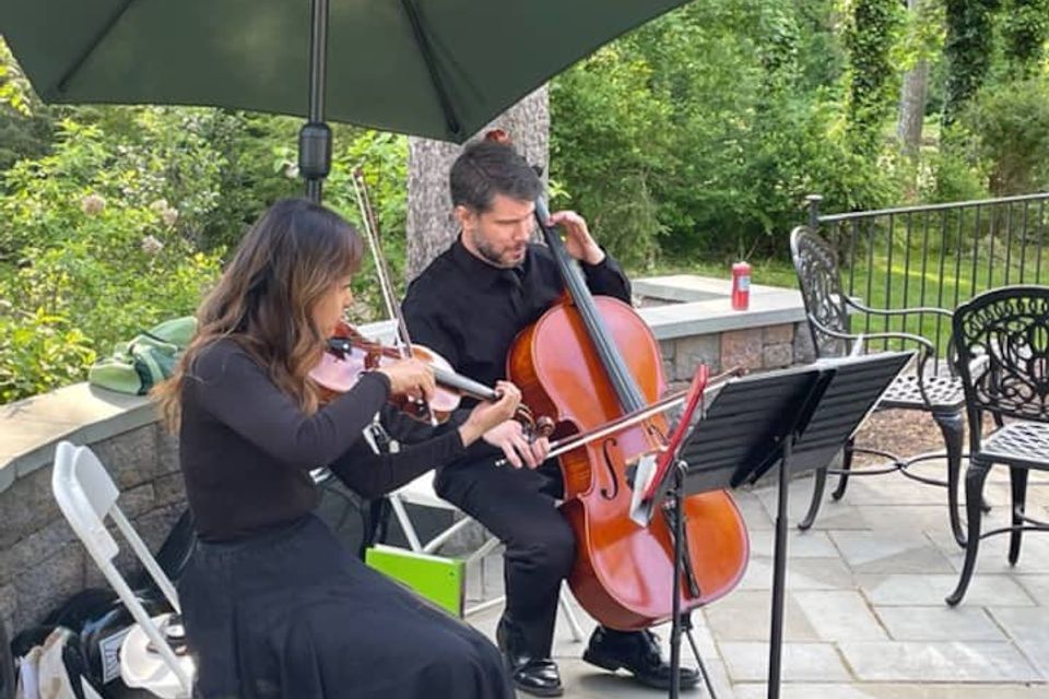 Indian orchards wedding music