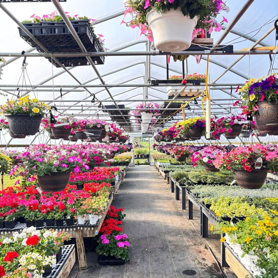 Maytown Gardens Greenhouse