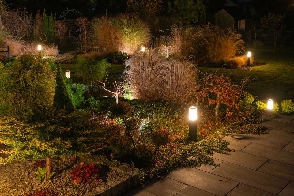 Outdoor lighting at night, backyard lights