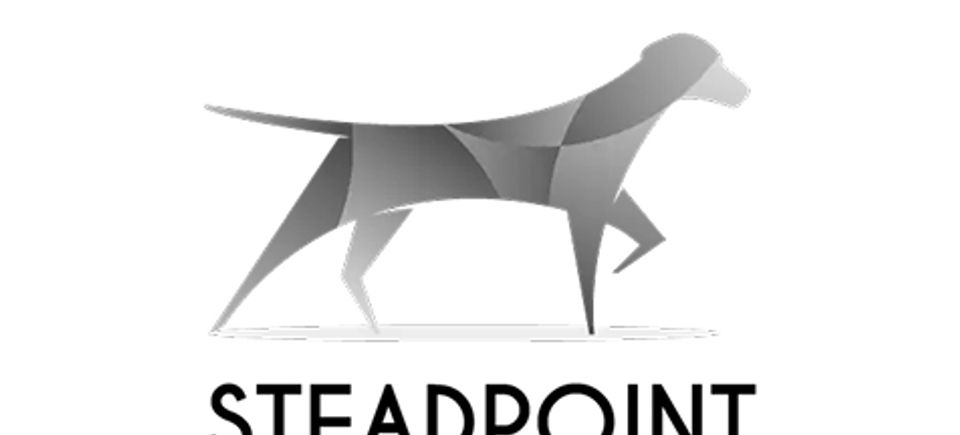 Steadpoint