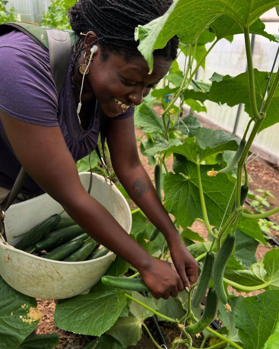 Resilience and care grants2