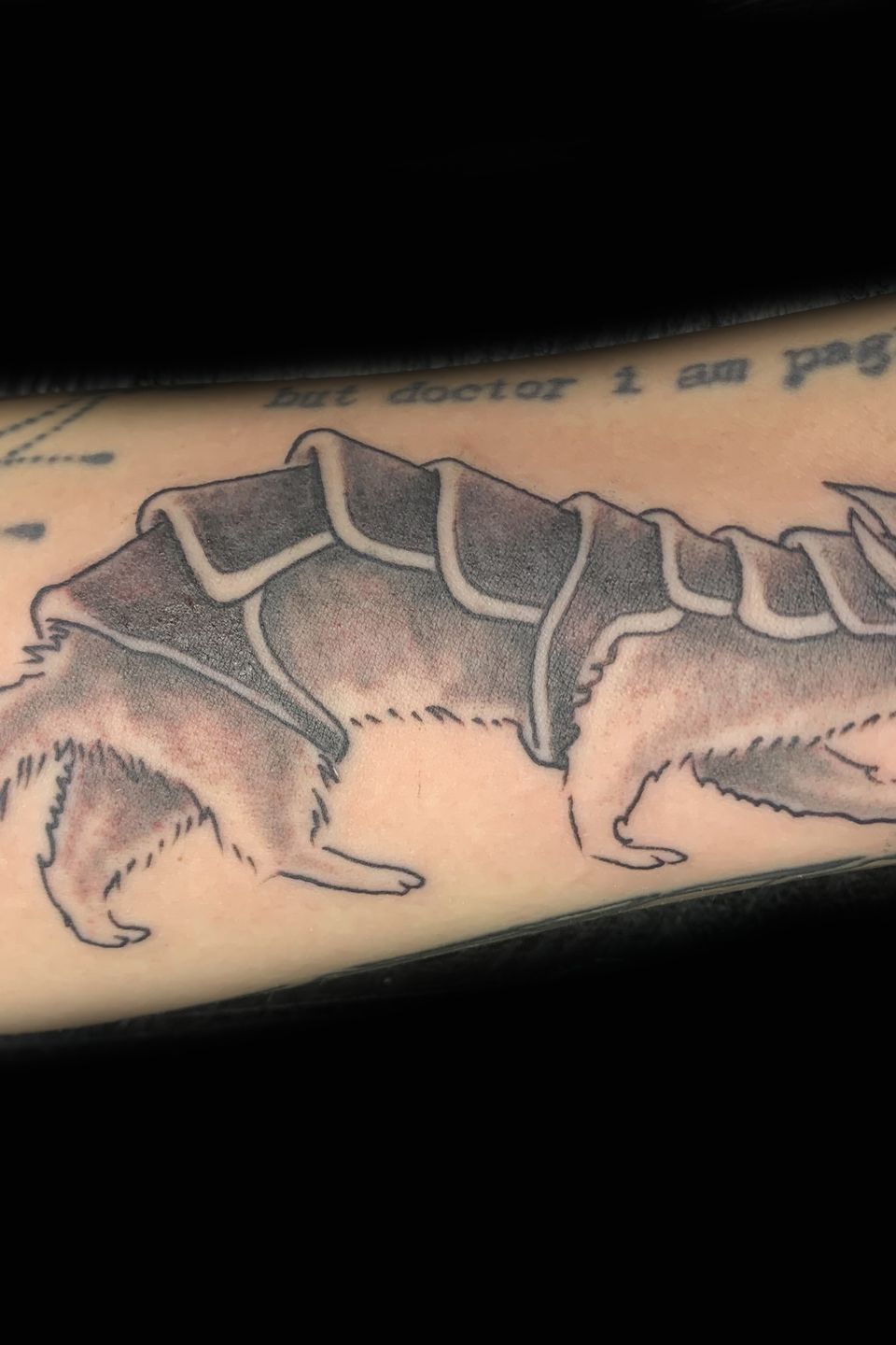 Tech armored ferret copy