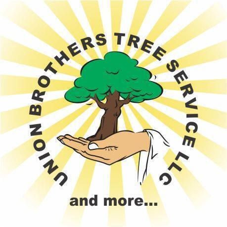 Union Brothers Tree Service