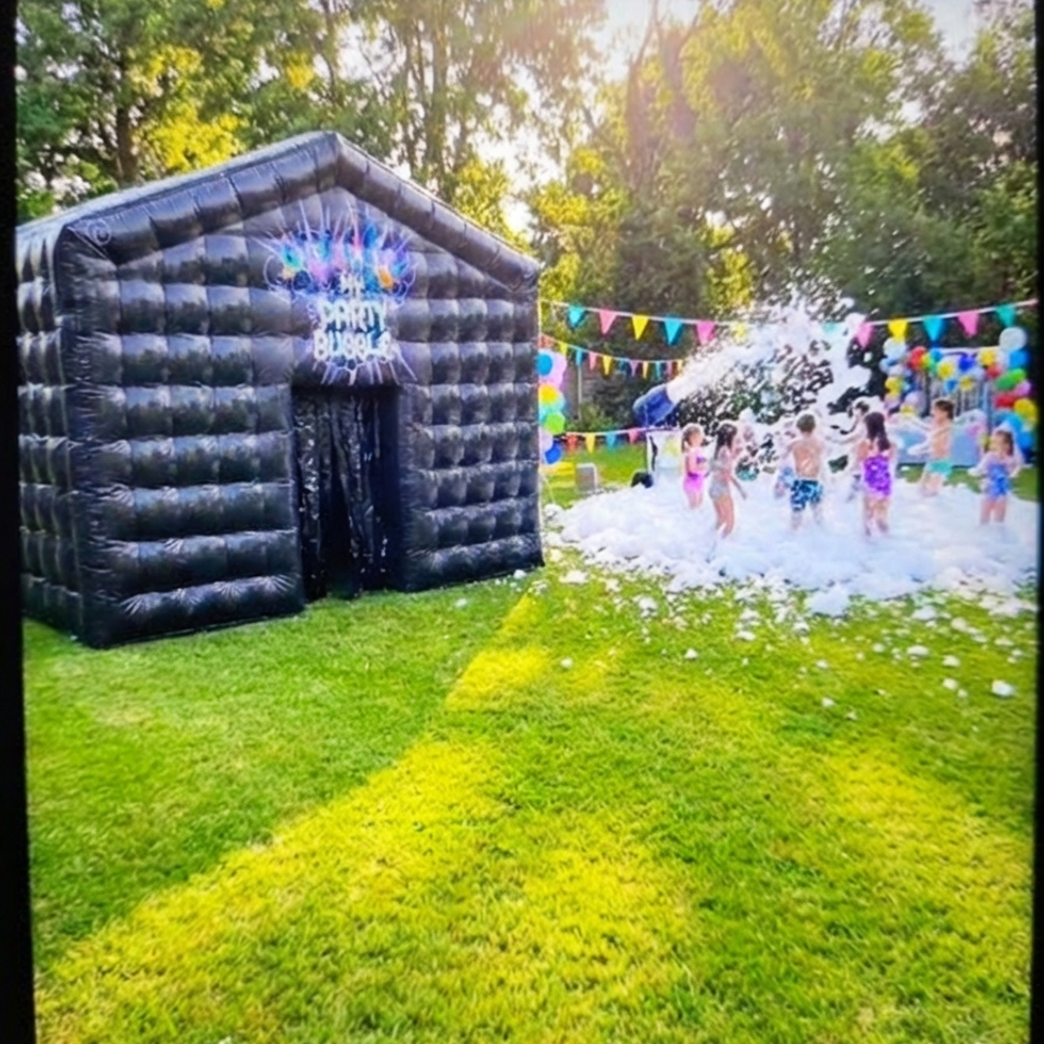 Image generator (100)