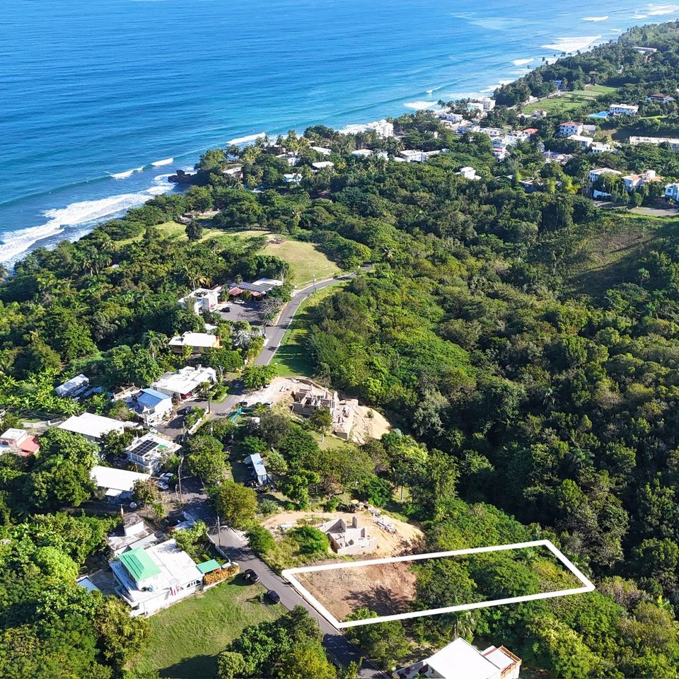 Dji 20251215082145 0146 d 2