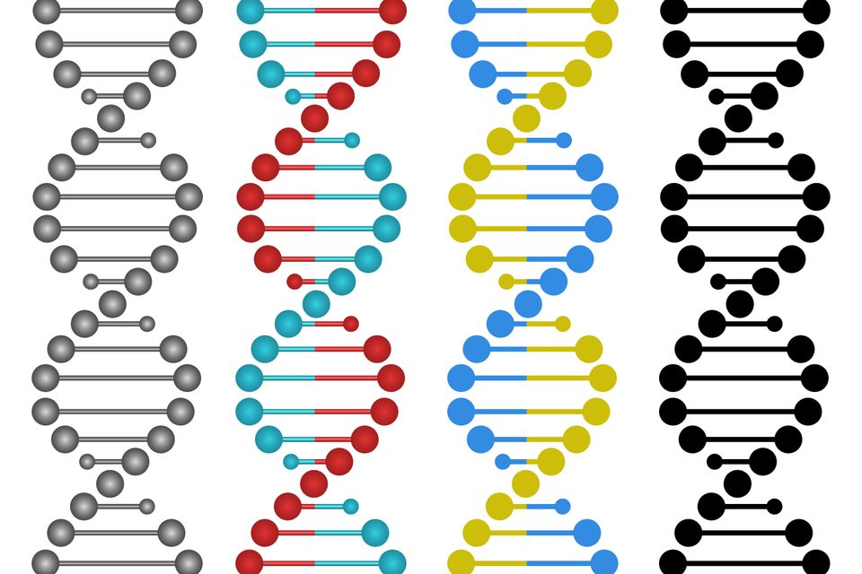 Human dna design vector