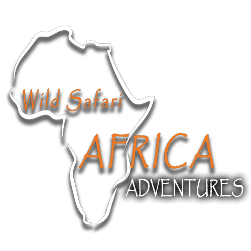  Wild Safari Africa Adventures