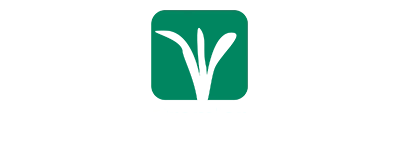 Premierdealer original