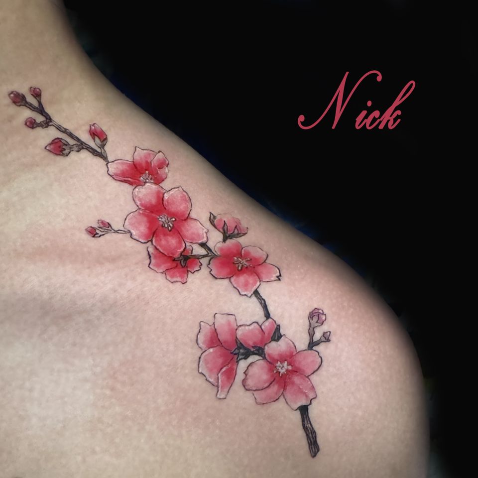 Nick cherry blossoms