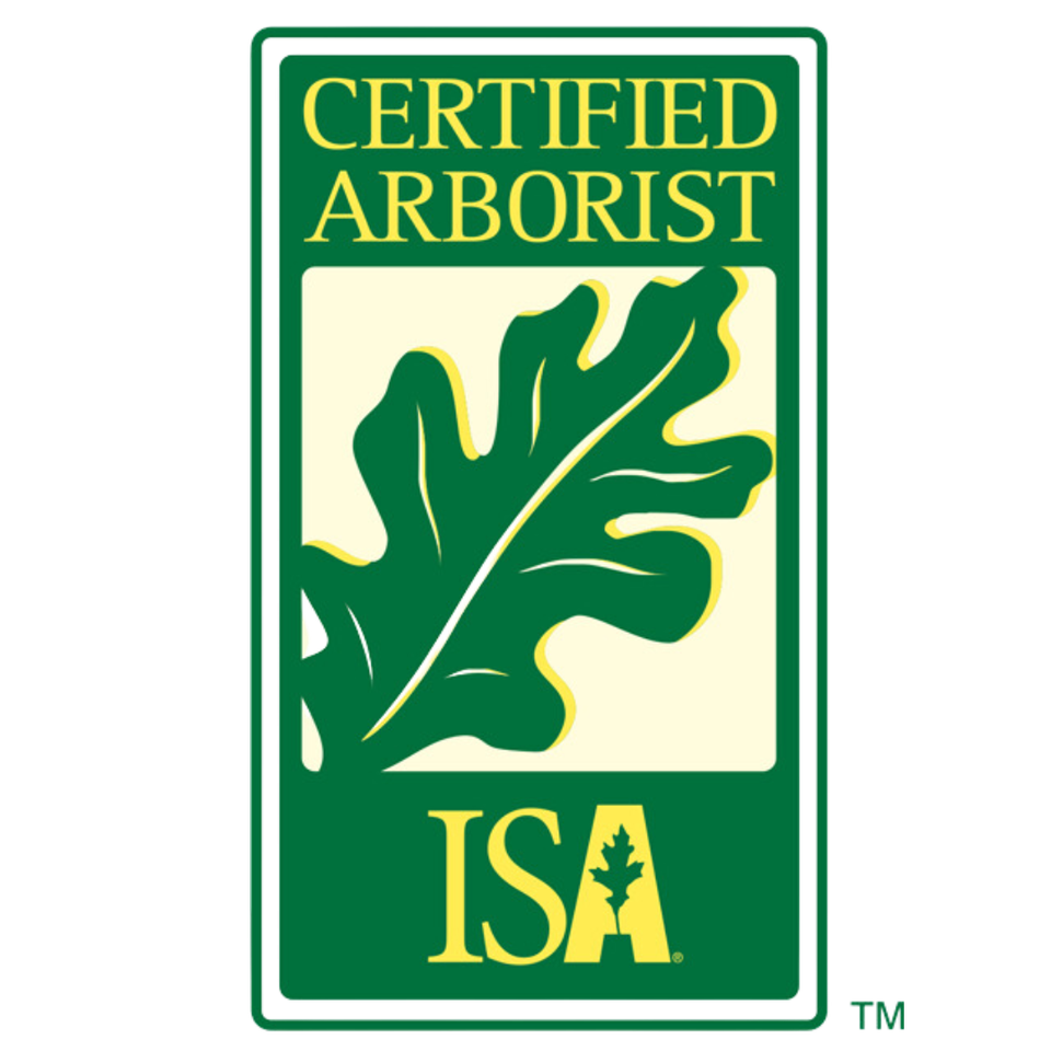 triangle tree services llc of johnston county is a certified arborist, certified arborist versus tree company, tree service certified arborist