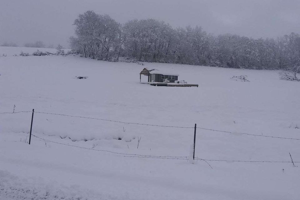 Image000002