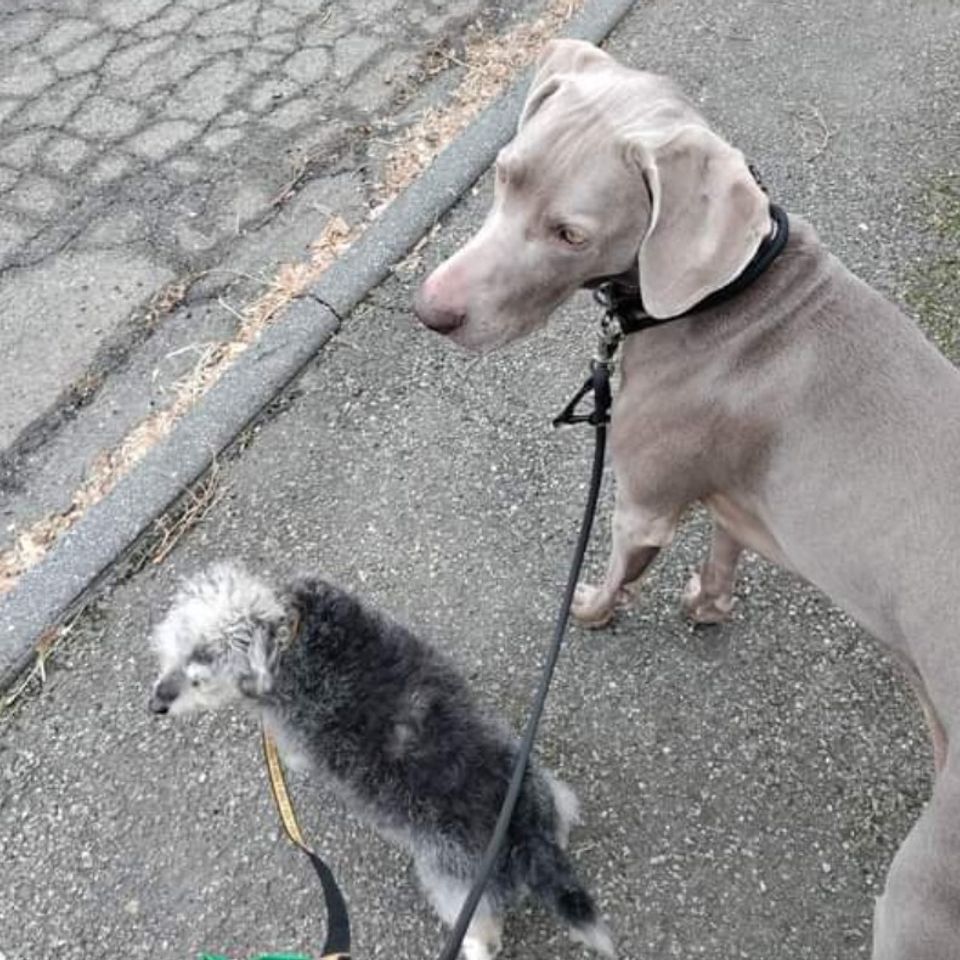 Screenshot 20241215 181605 photos (1)