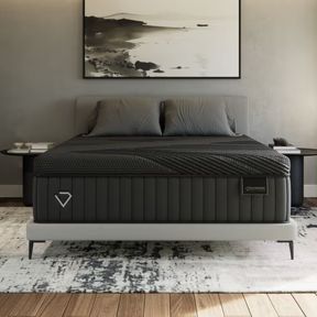 Blackdiamond snowbird room front
