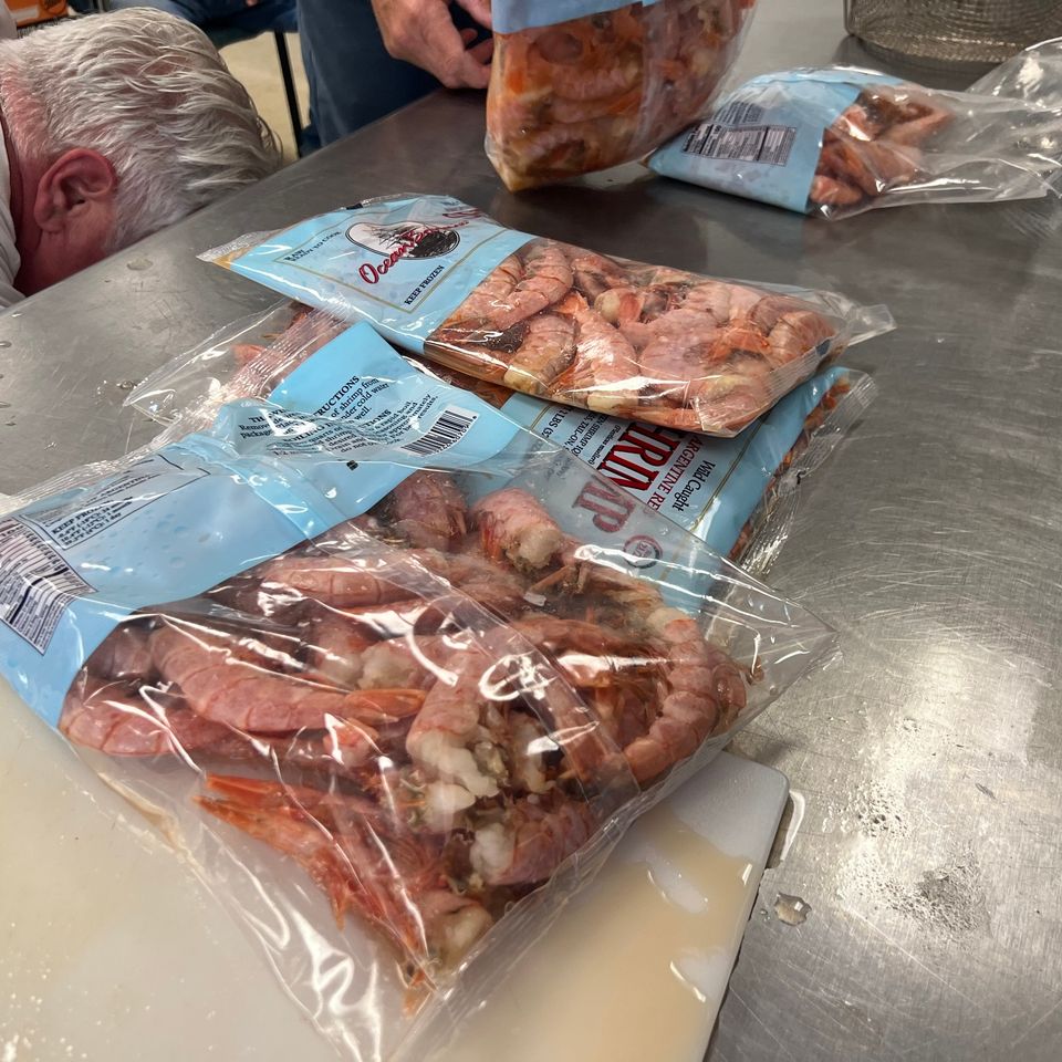 Rotarydistshrimp4