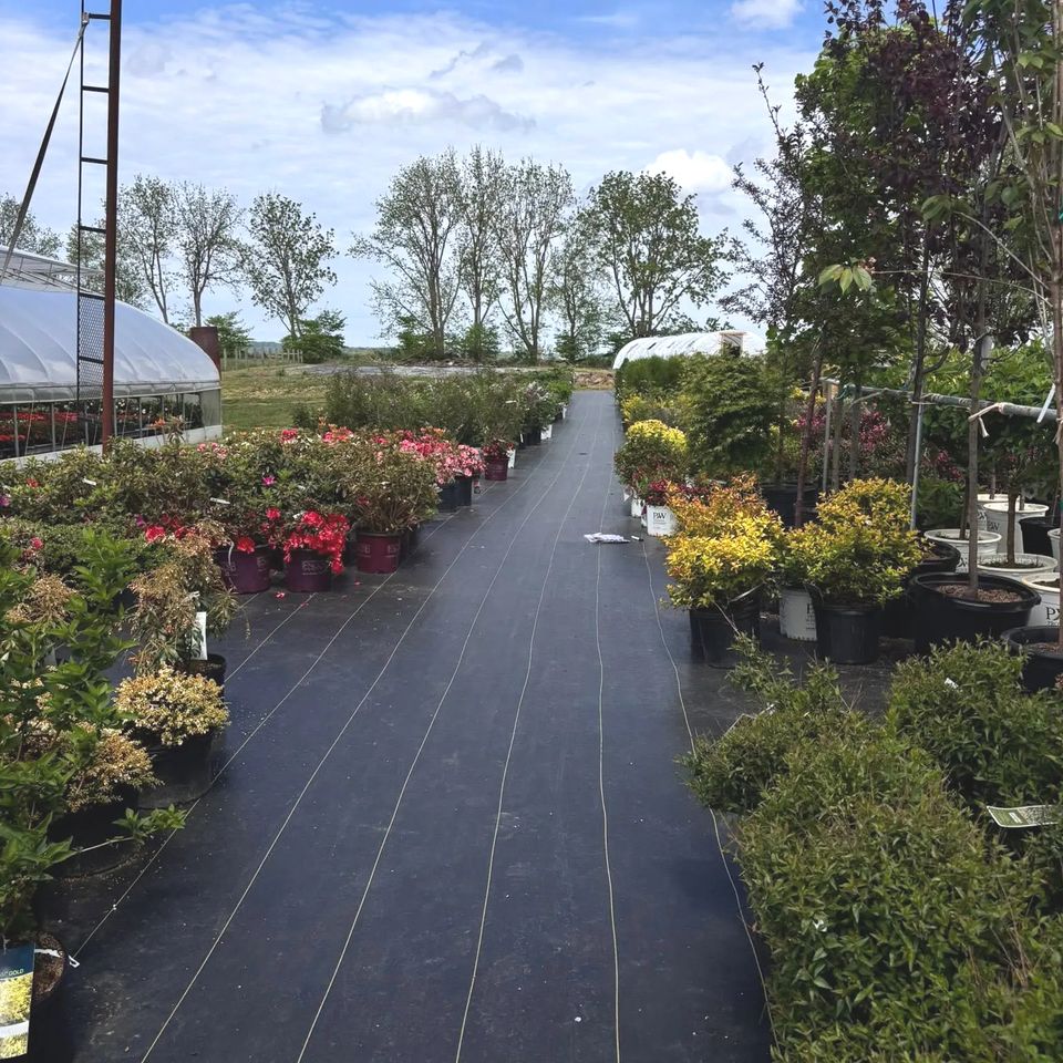 Maytown Gardens and Greenhouse  Marietta