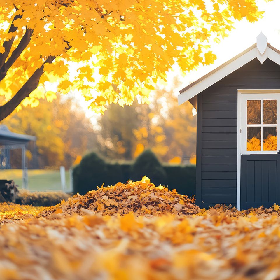 Fall lawn resized smaller