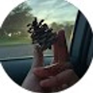 Screenshot 2026 01 19 163558