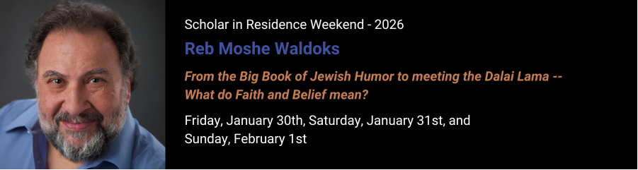 Congregation beth elohim scholar