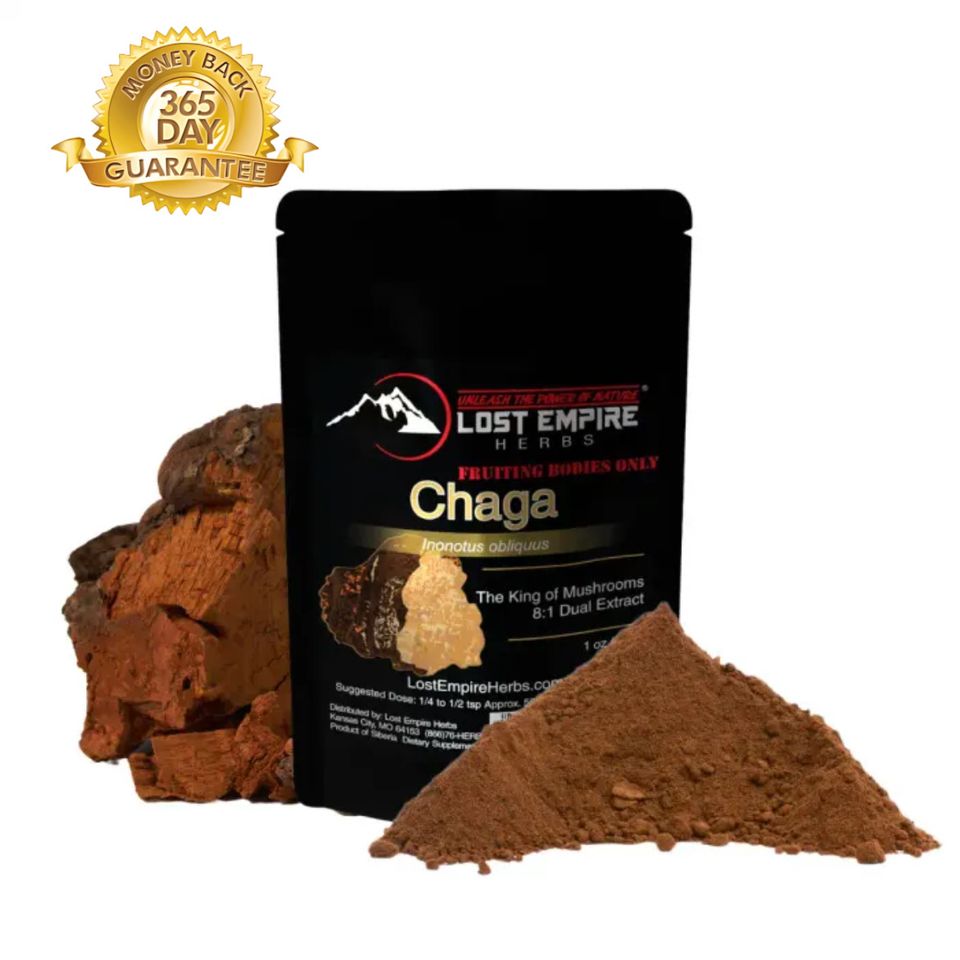 Buy certified organic chaga mushroom powder