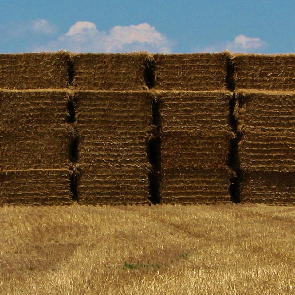 Hay bales stacked 4405