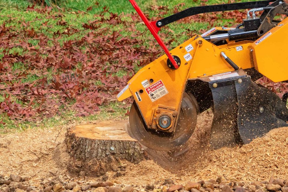 Professional stump grinding service in Roseville, CA, using a high-powered machine to remove a large tree stump below ground level for a clean, replantable yard
