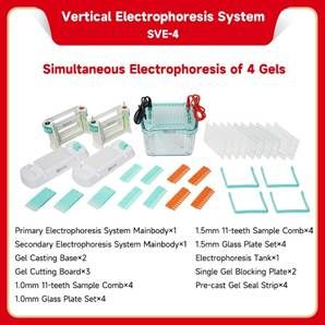 Vertical electrophoresis system be sve 4 1 