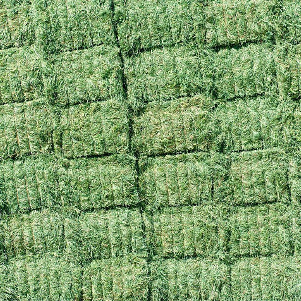 Istockphoto 174755162 612x612