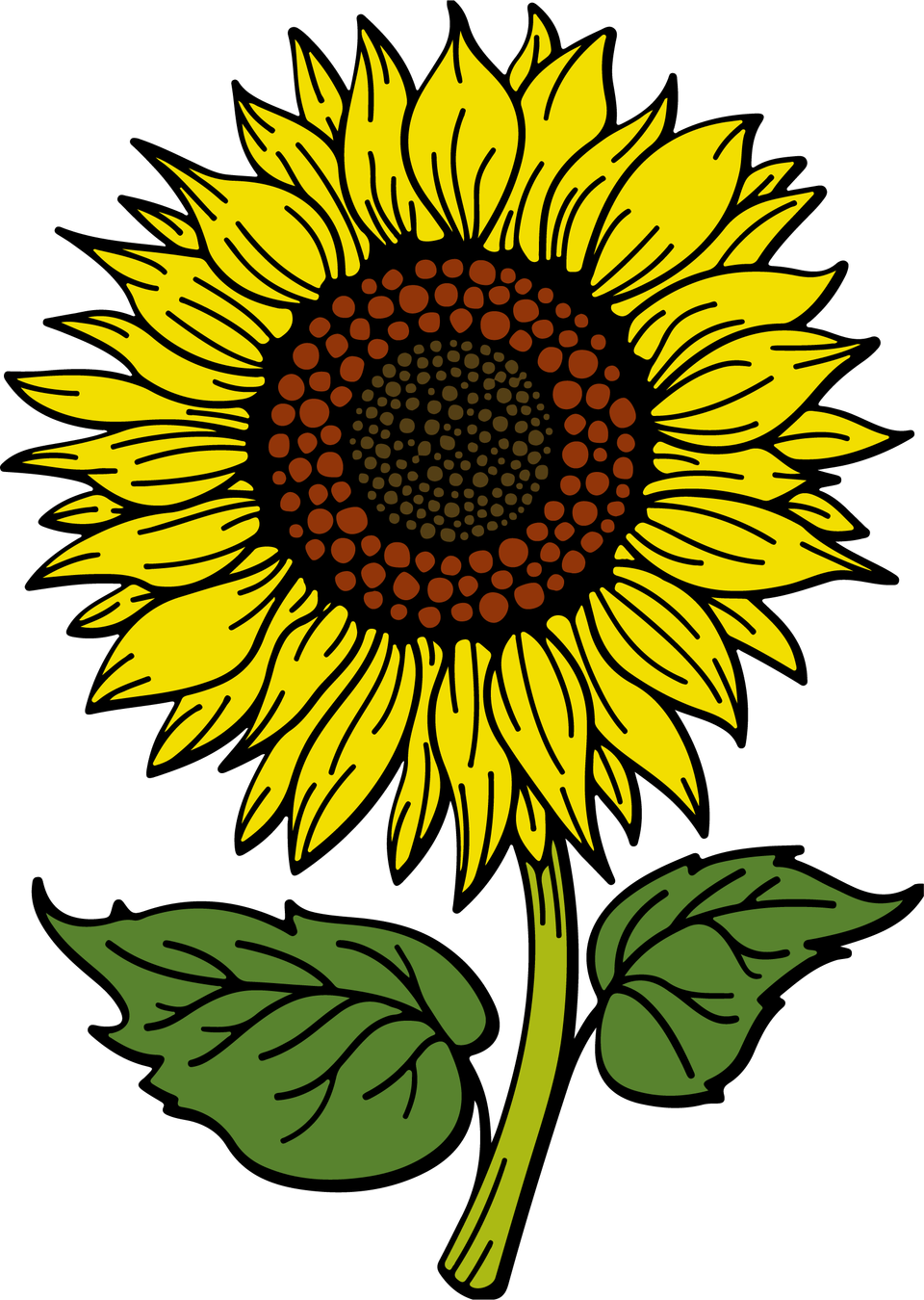 Seasons   fall sunflower png