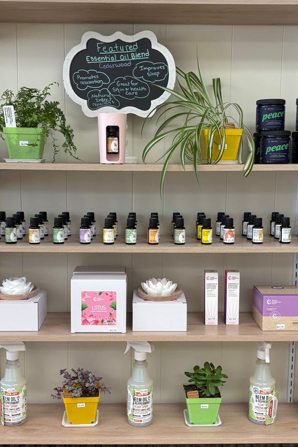 Essential Oils and CBD Holistic Items at Forest and Blossom