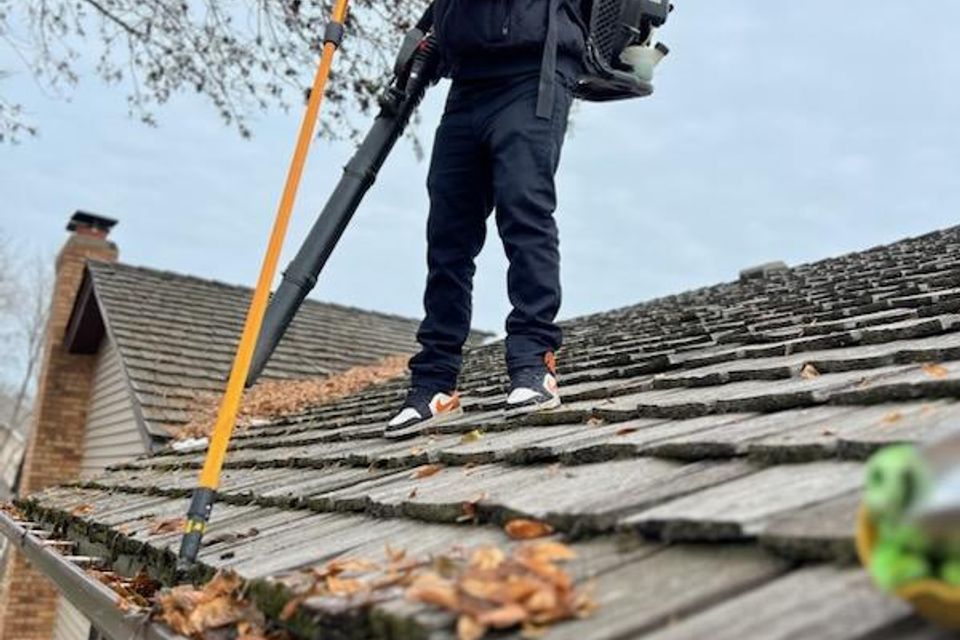Gutter cleaning pic