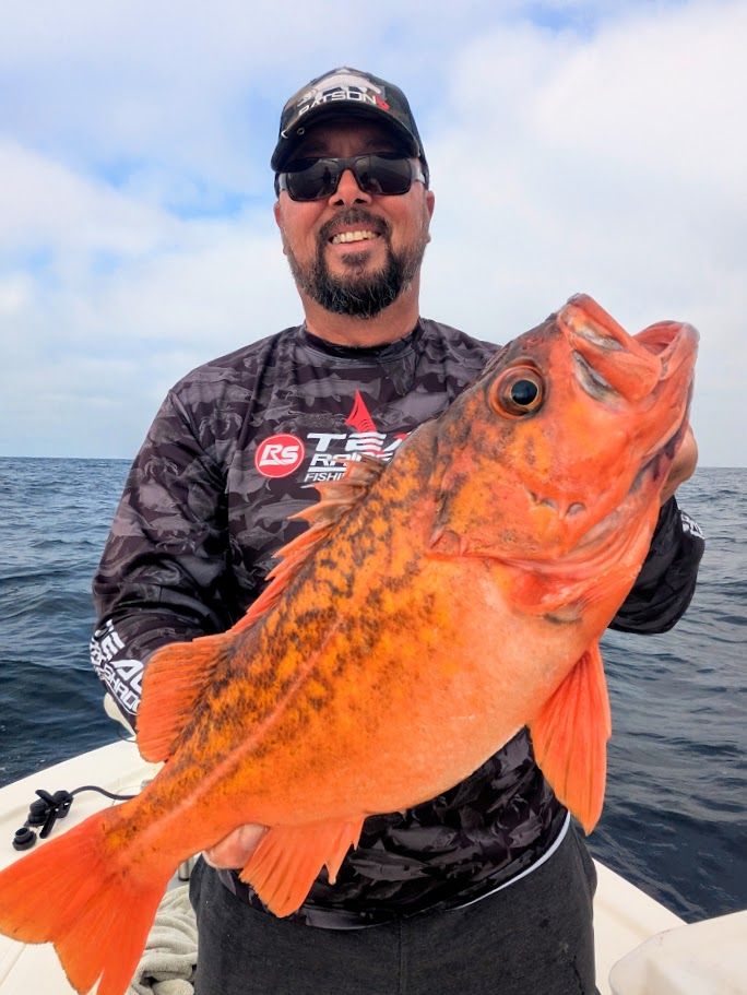 Pxl 20251214 205248278 2