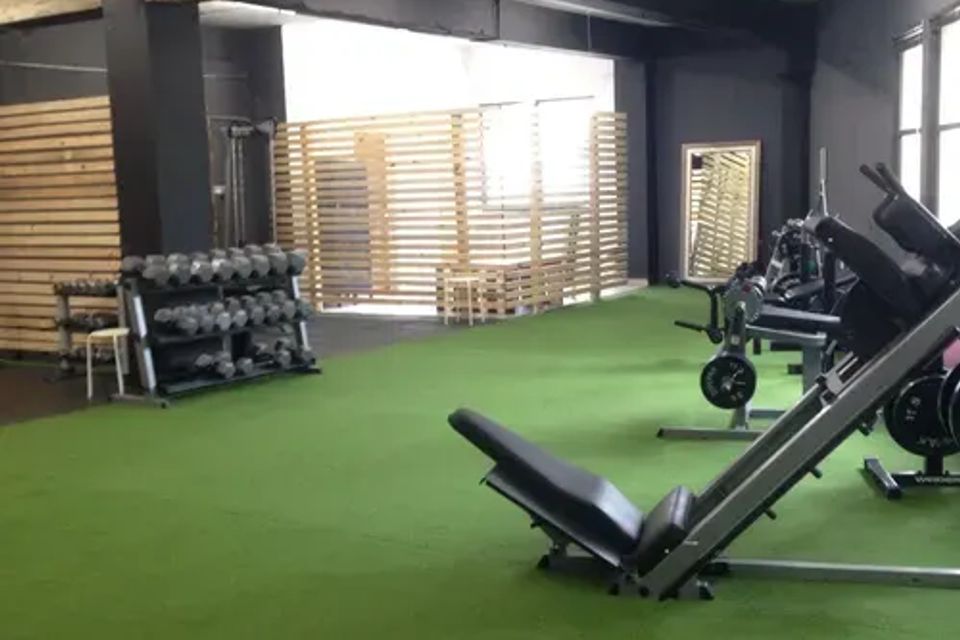 training and agility artificial turf