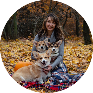 Welsh corgi pembroke g50b24bc91 1920 960x960 circle