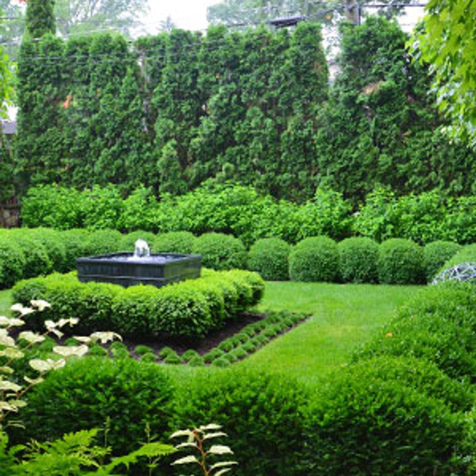 Service landscaping design build.jpg