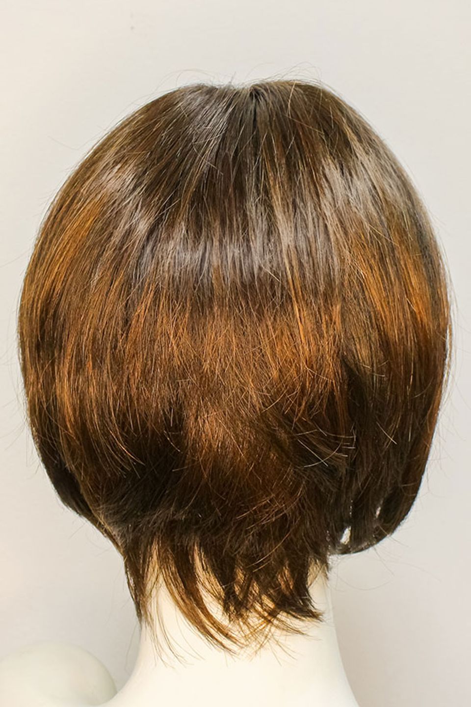 Medium brown pixie bob 3