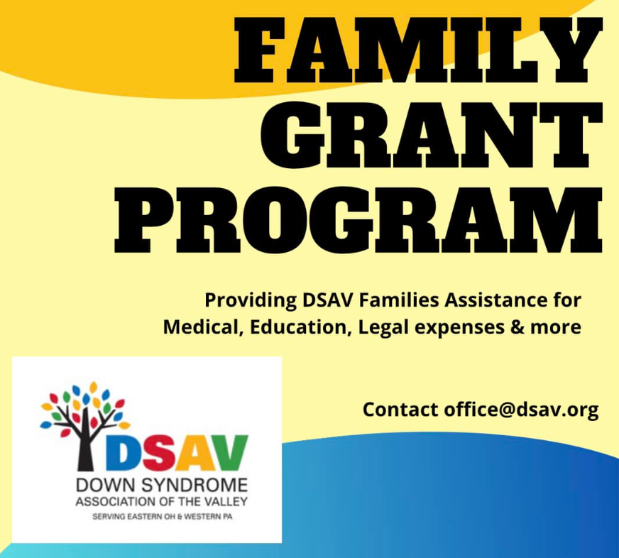 DSAV Family Grant Program graphic promoting financial assistance for medical, education, legal, and other family-related expenses.