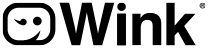 Logo wink brands border 208x50
