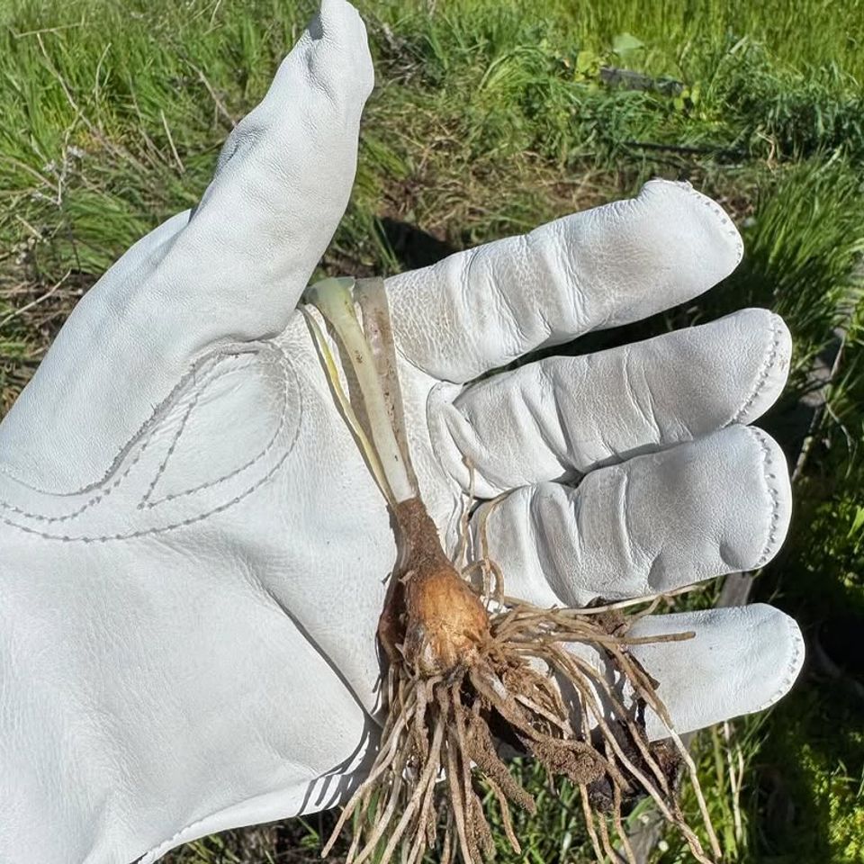 489676316 18497445091004457 6544947252110691949 n