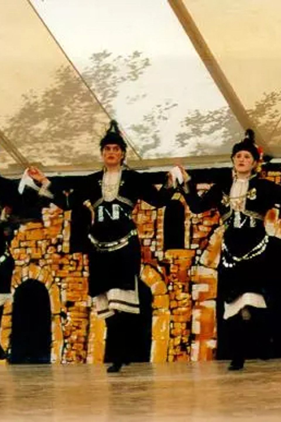 1995 fdf mi girls 02